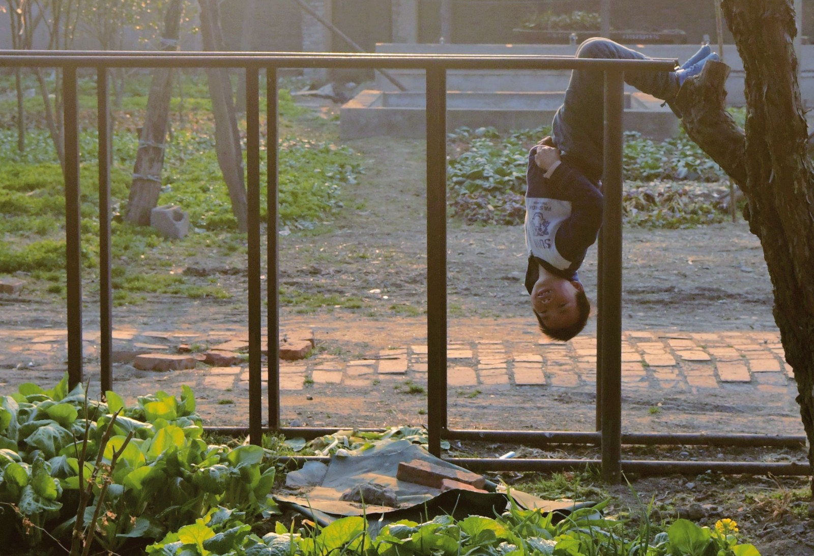 大年初二,这对母子捡柴火取暖,没网络看春晚很遗憾