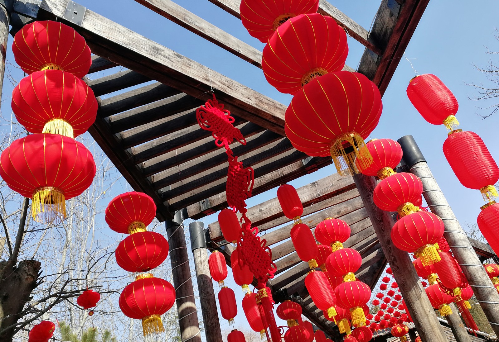 山东一景区挂万盏红灯笼迎新年,场面壮观