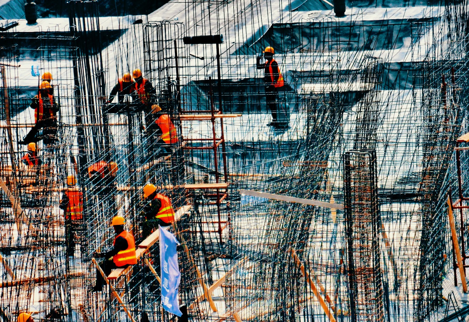 劳动人民是最美的,美在付出,美在收获,美在坚持|人民|劳动_新浪新闻