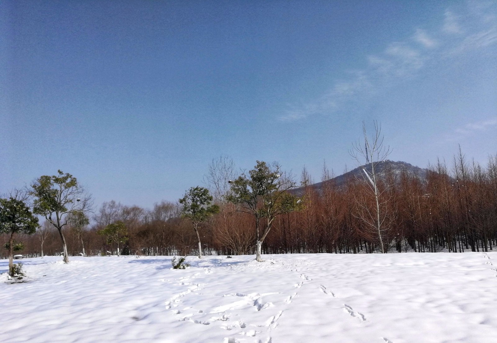 带你走进合肥大蜀山森林公园,这雪景让你不舍得走