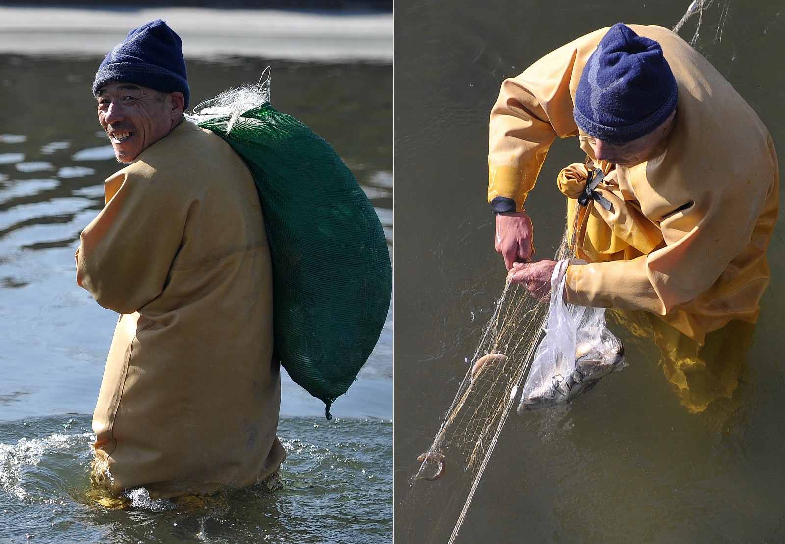 数九天男子河中捞鱼:四季不离水轻松赚10万|捕鱼|男子|四季_新浪新闻
