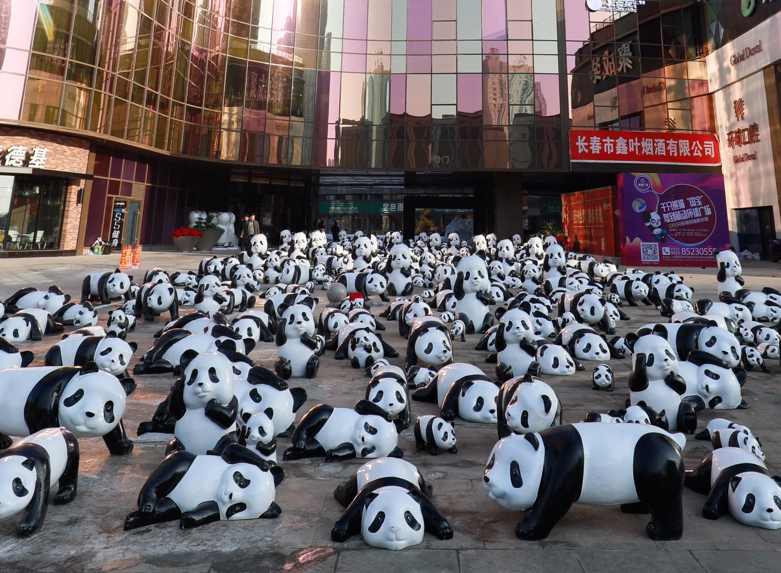 四川籍企业三十万造千只熊猫占领广场 形态各异美女争合影