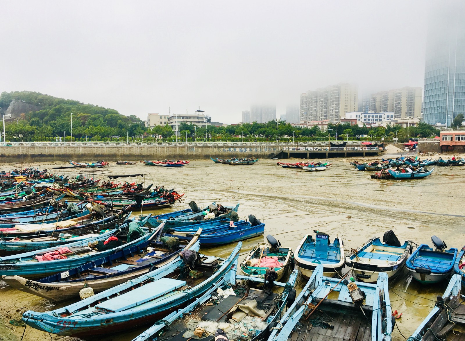 厦门这处避风港,景色不输沙坡尾,昔日渔民成土豪未来令人担忧