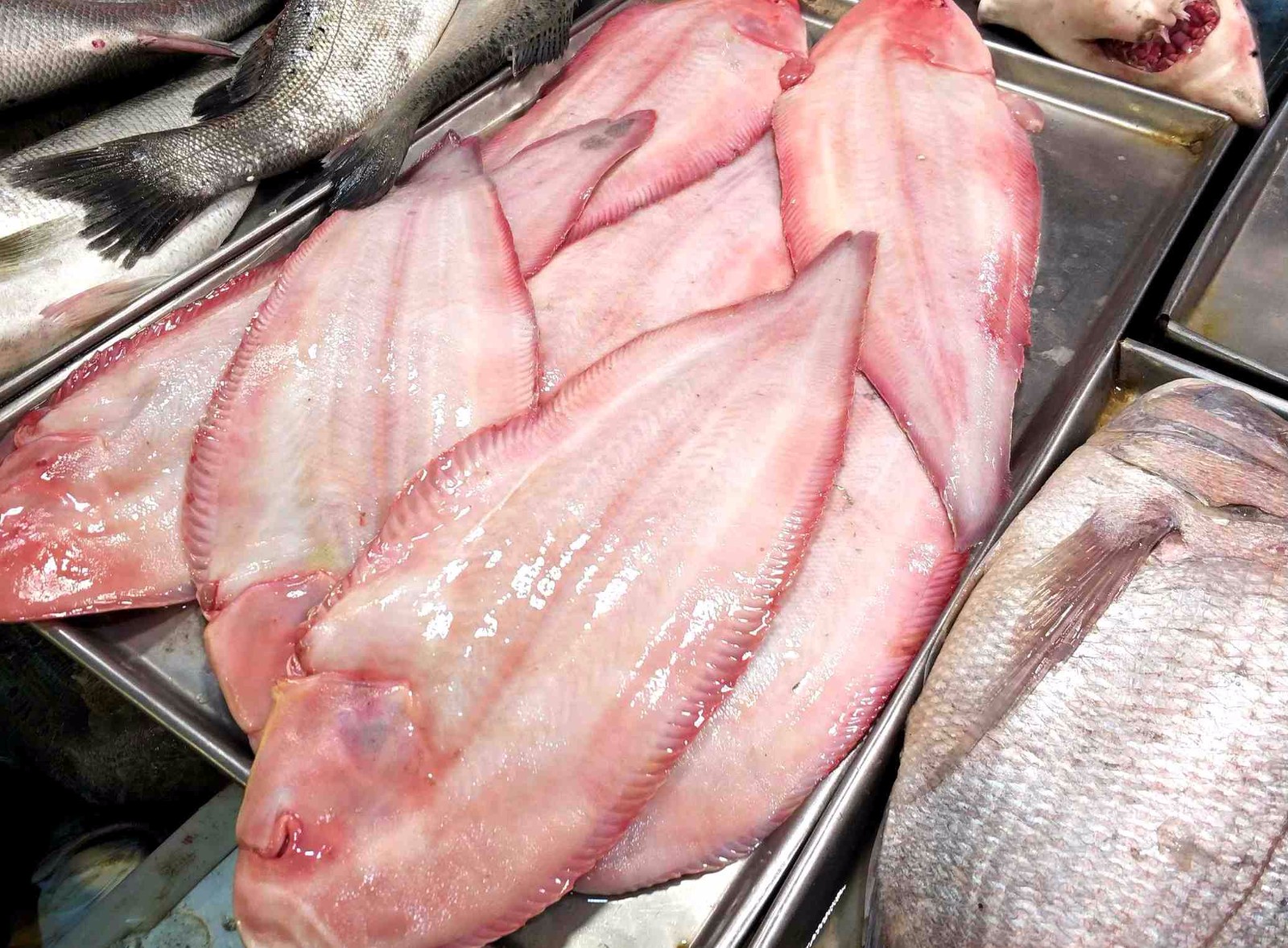 舌头鱼, 舌头鱼大点的,刺很少,22元一斤,油煎好吃.