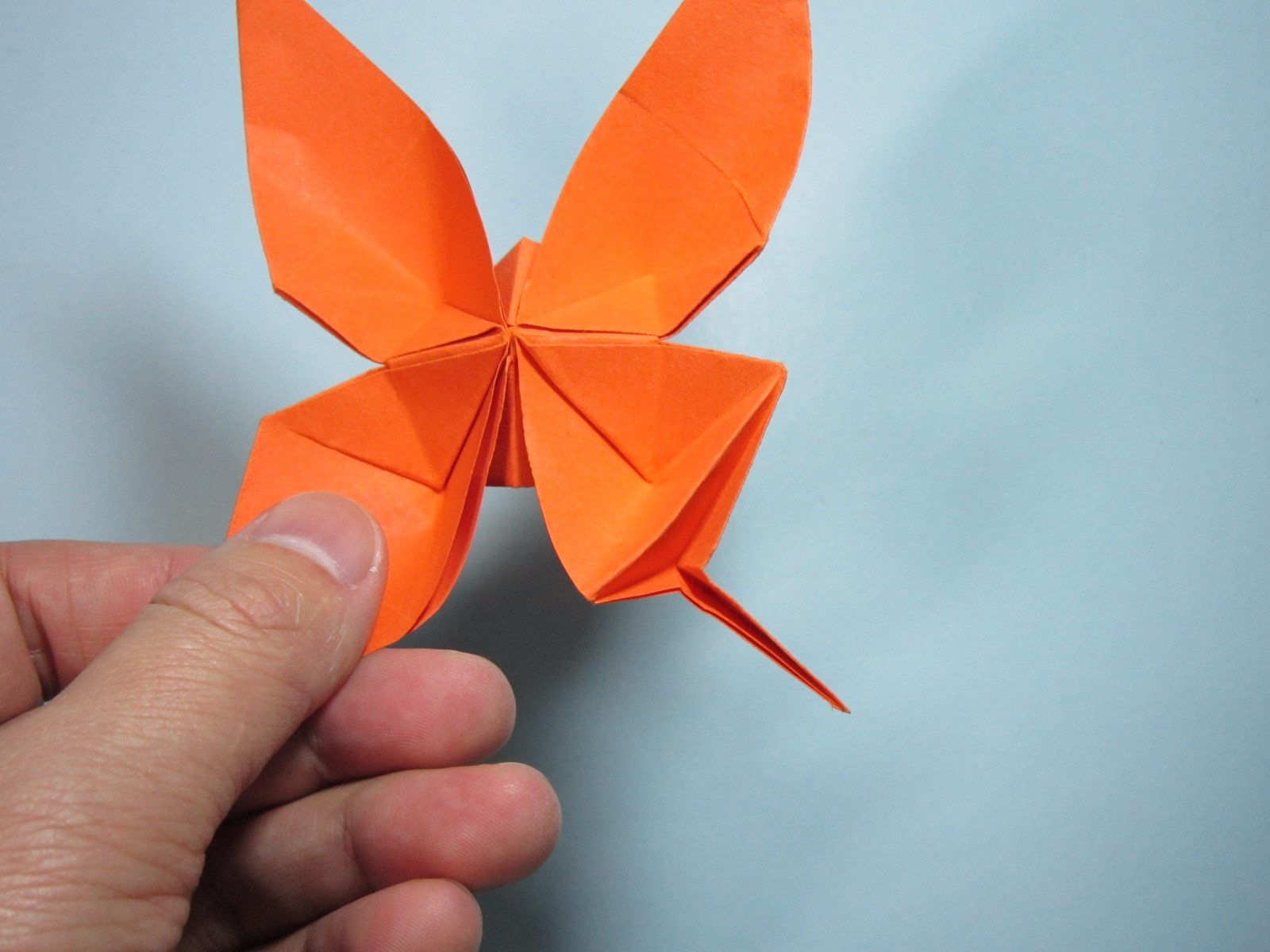 儿童手工折纸蝴蝶凤尾蝶的折法详细图解