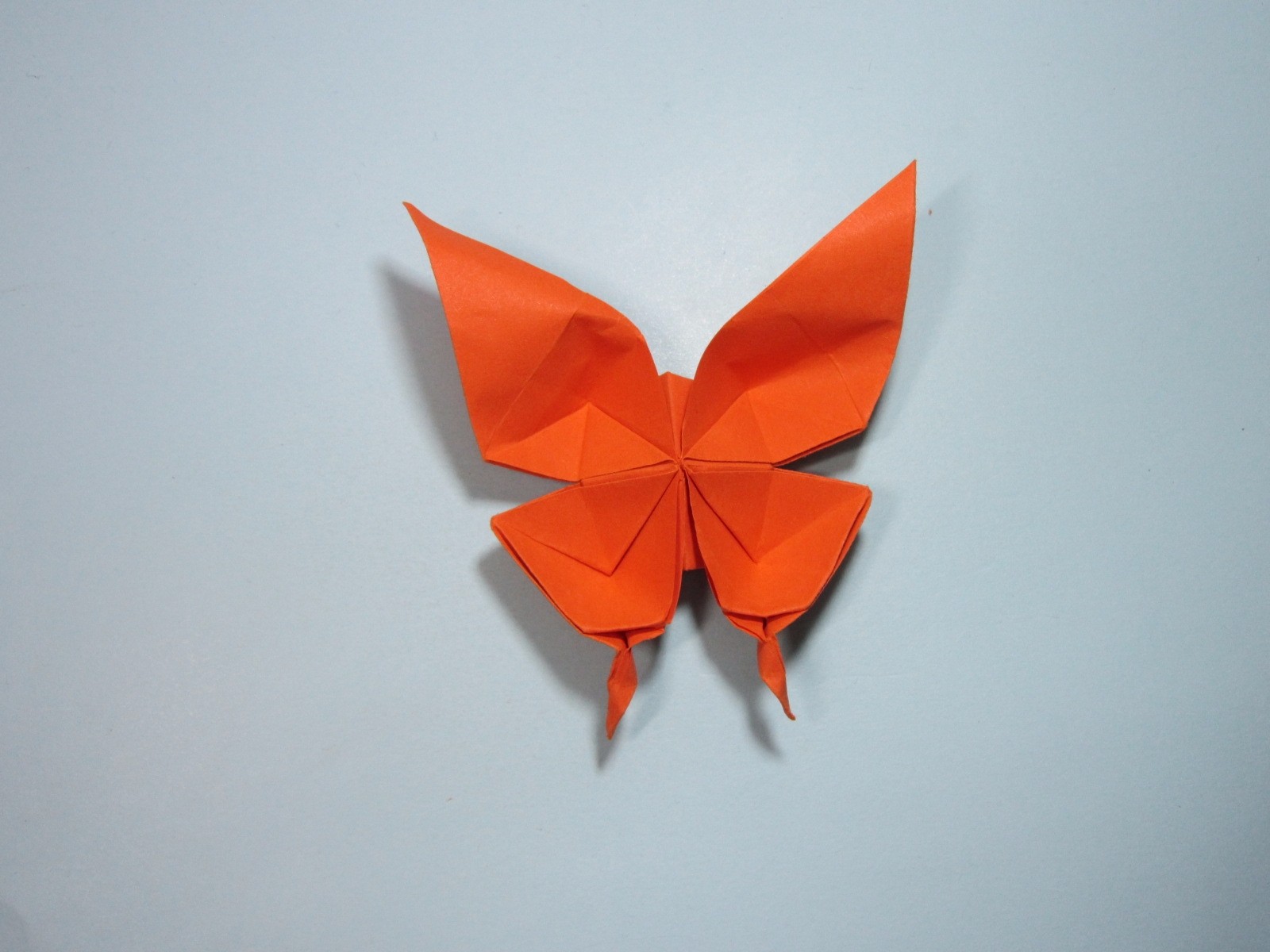 荷氏薄荷糖纸折蝴蝶图片