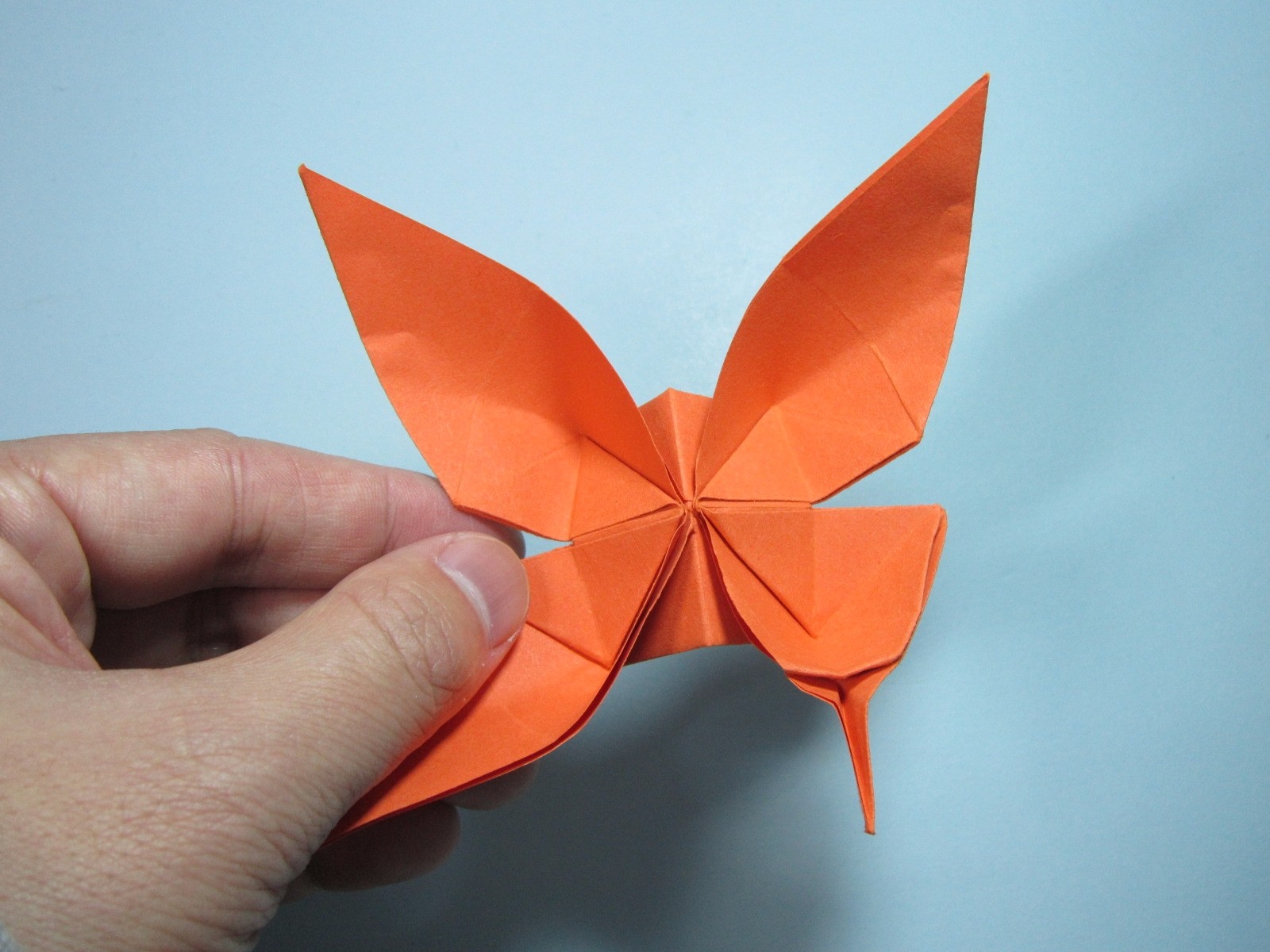 儿童手工折纸蝴蝶凤尾蝶的折法详细图解