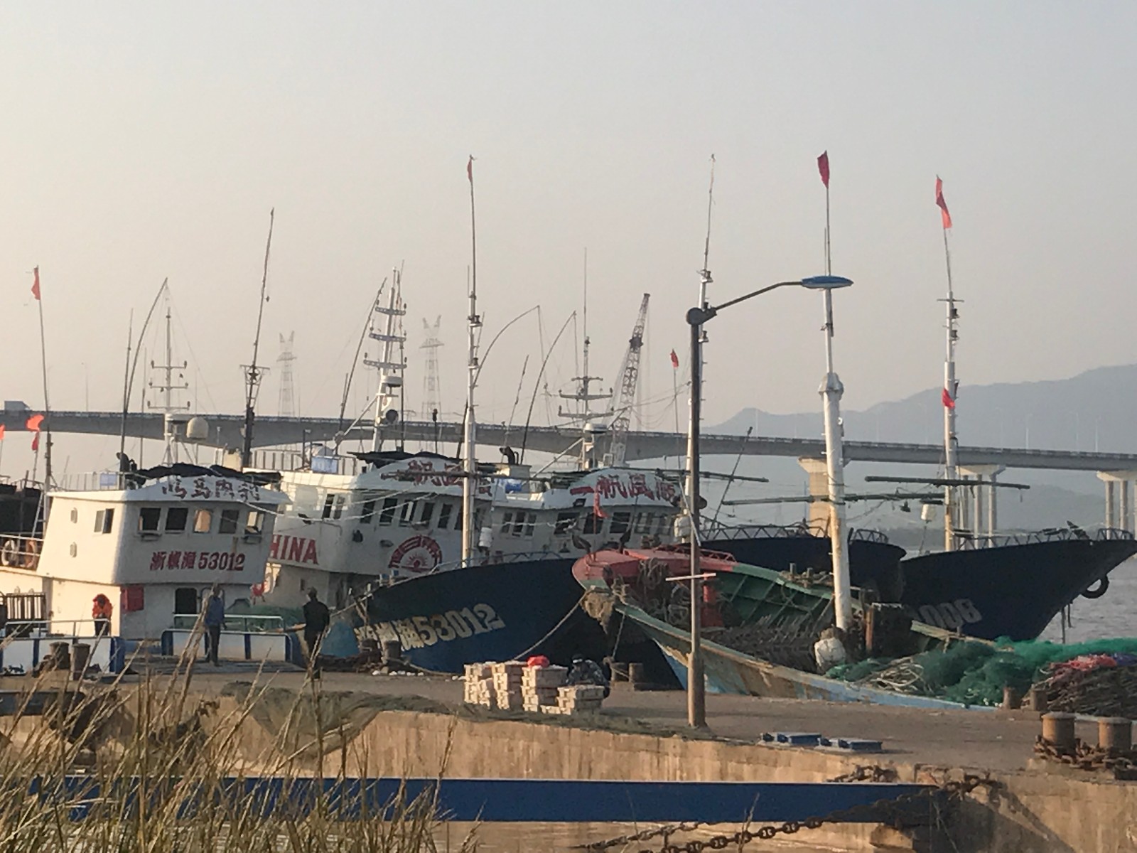 冬天的椒江码头,渔民热火朝天的搬运渔获,附近居民来捡免费海鲜