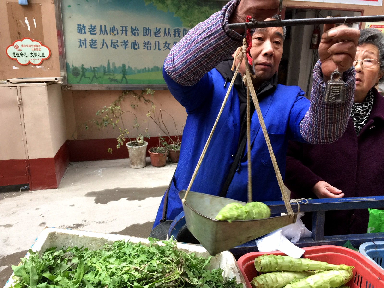 图为王教明在用传统的杆秤称重,他说,要是哪天他媳妇有别的事情没有挖
