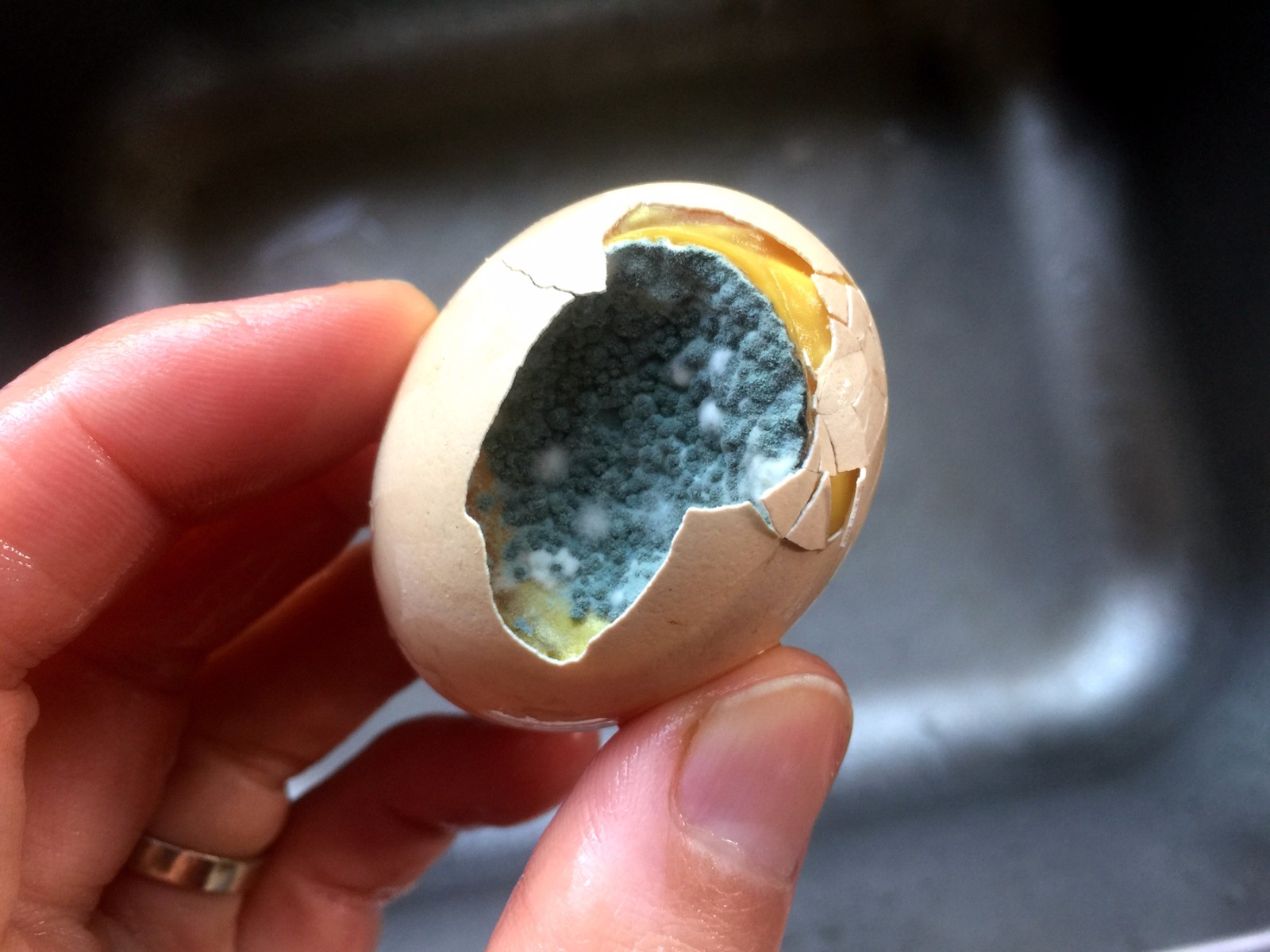 农妇好鸡蛋做模特售卖被抢购,买回家鲜蛋全部成坏蛋