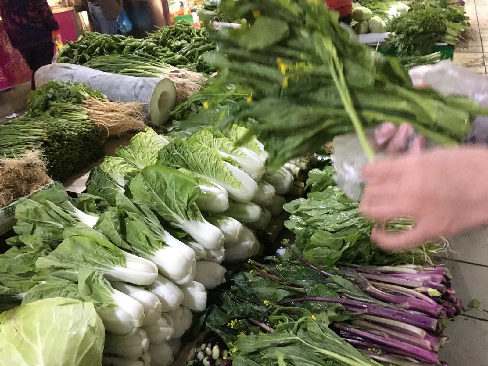 90后美女放弃体面工作去菜市场卖菜,遭人嘲笑,收入却比上班还多