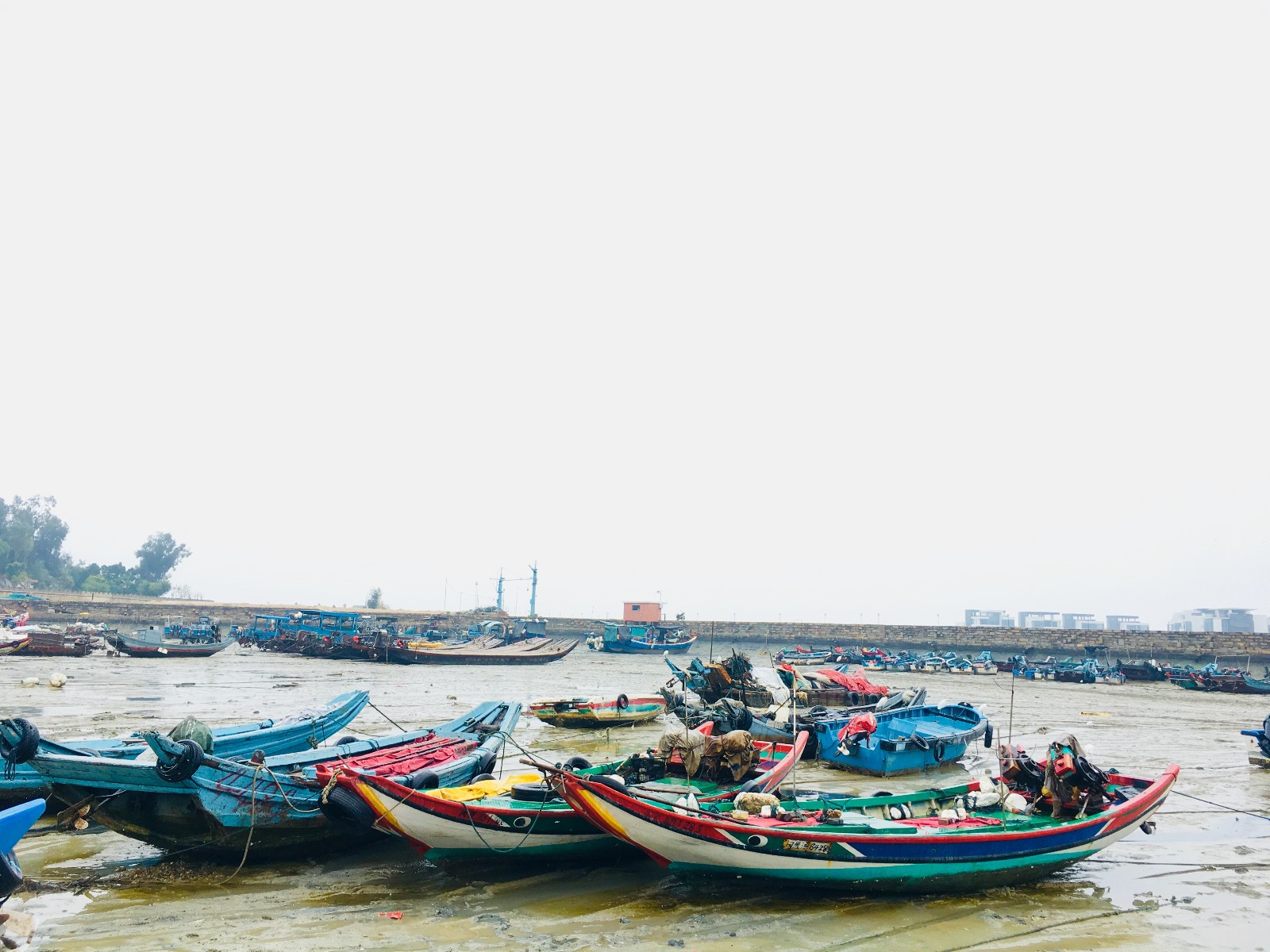 厦门这处避风港,景色不输沙坡尾,昔日渔民成土豪未来令人担忧