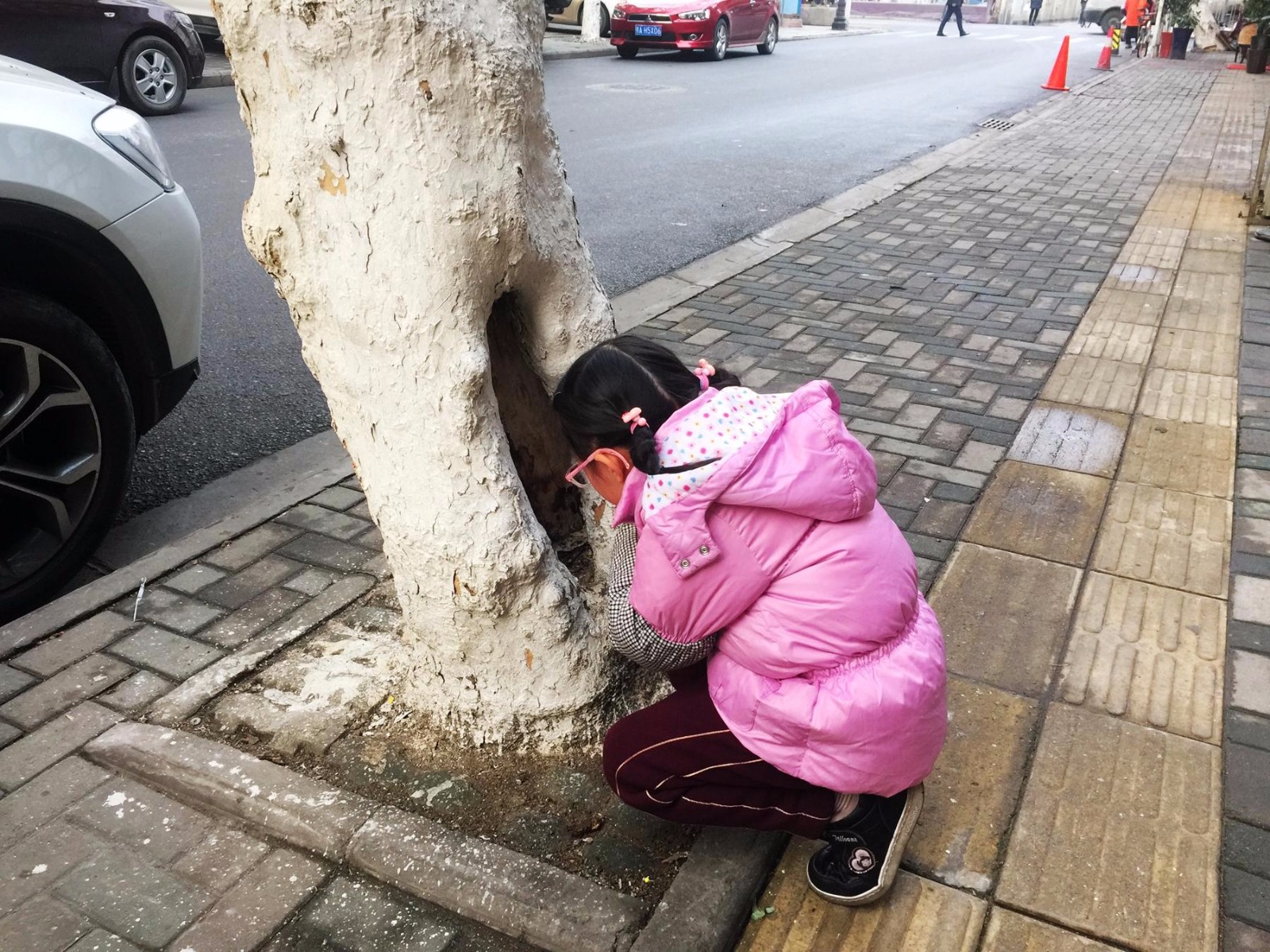 女孩放学看到一个树洞,里面的东西让她惊喜,可惜不能吃