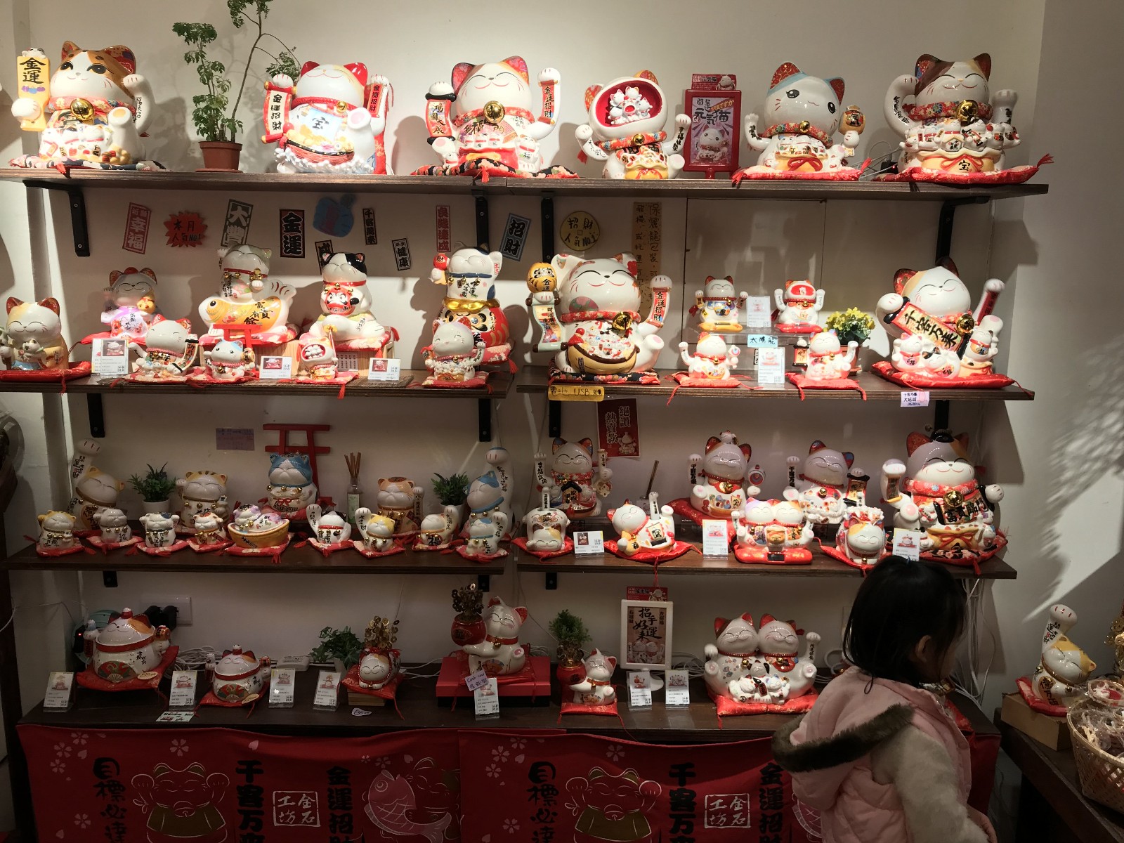 这家小店拥有上千只招财猫，由黑色小猫店长“看守”收银台