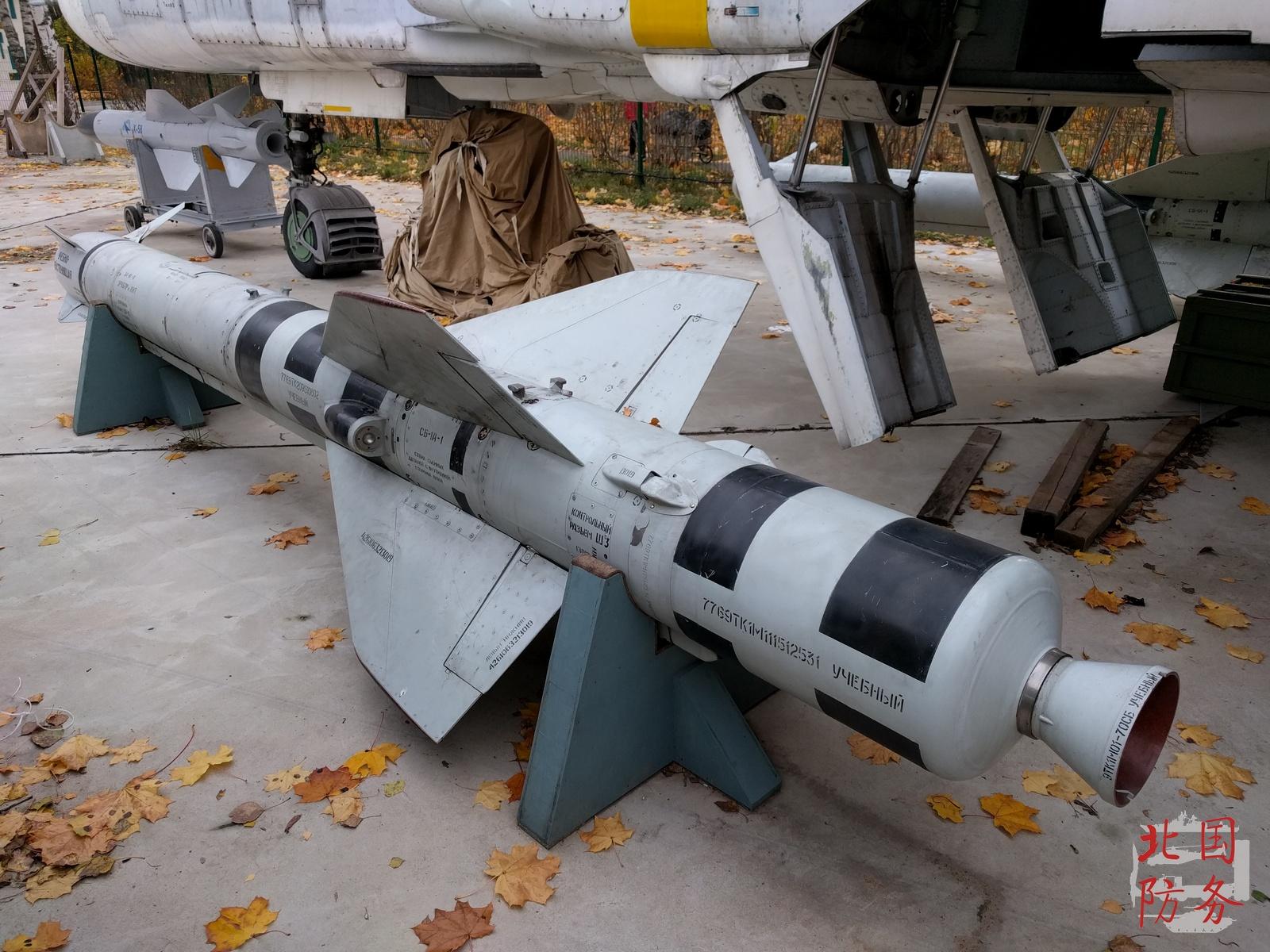中国为苏30买的这款俄制导弹挺尴尬,太阳月亮不出来就没法打