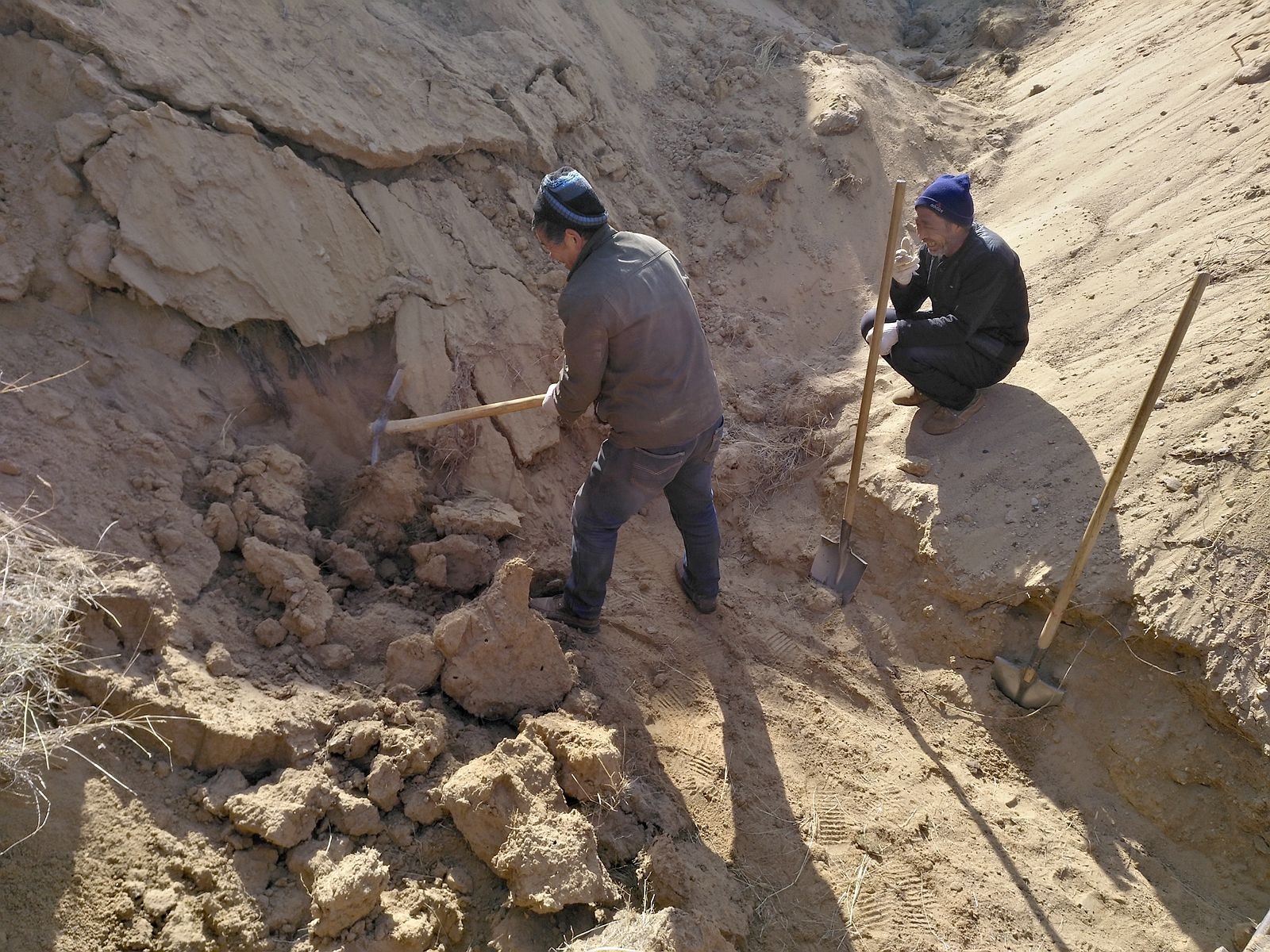 山西运城农民在黄土崖边挖龙骨1斤100元,神秘职业代代相传