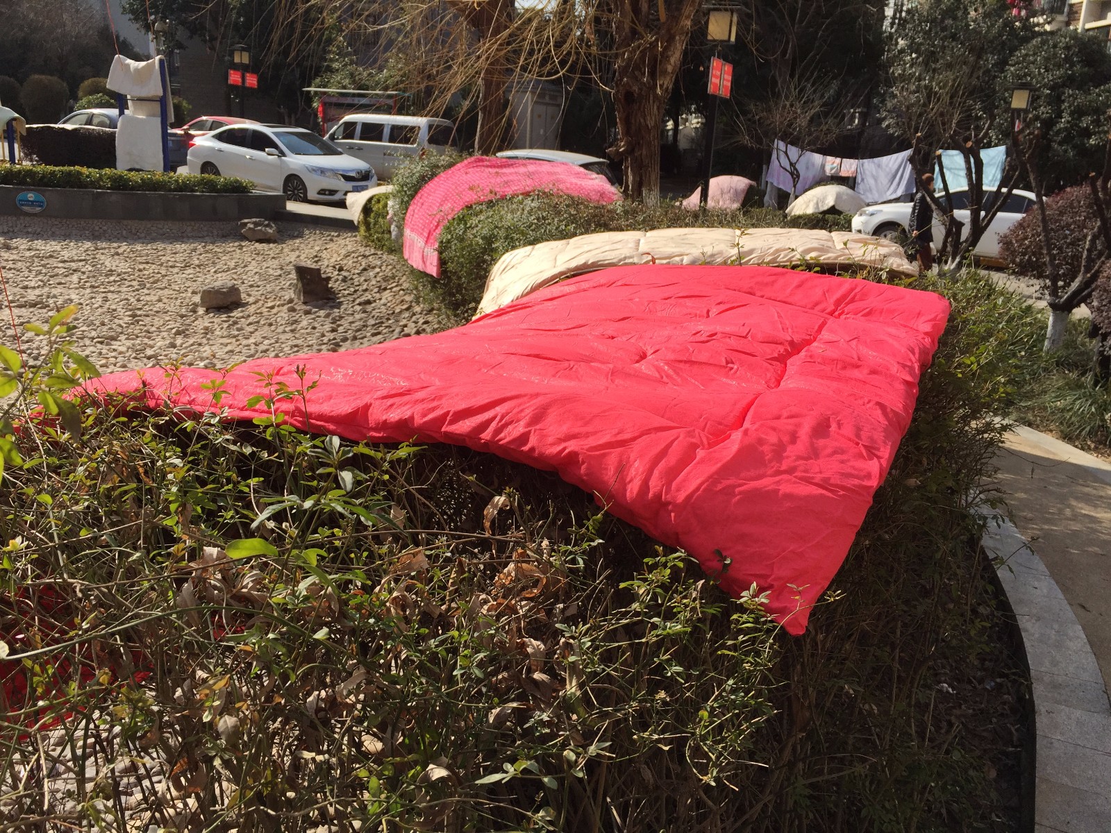 大妈春节前霸气晾晒被子这场面看了让人有笑也有气