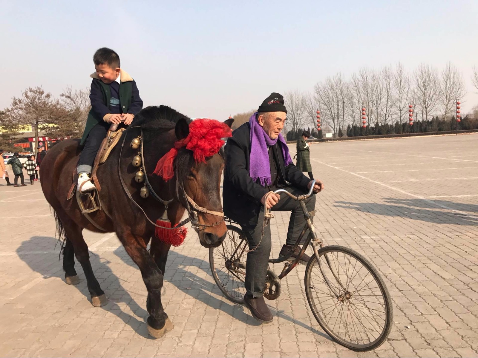 6旬老人景区里骑自行车牵马溜娃,心惊胆颤体验者仍络绎不绝