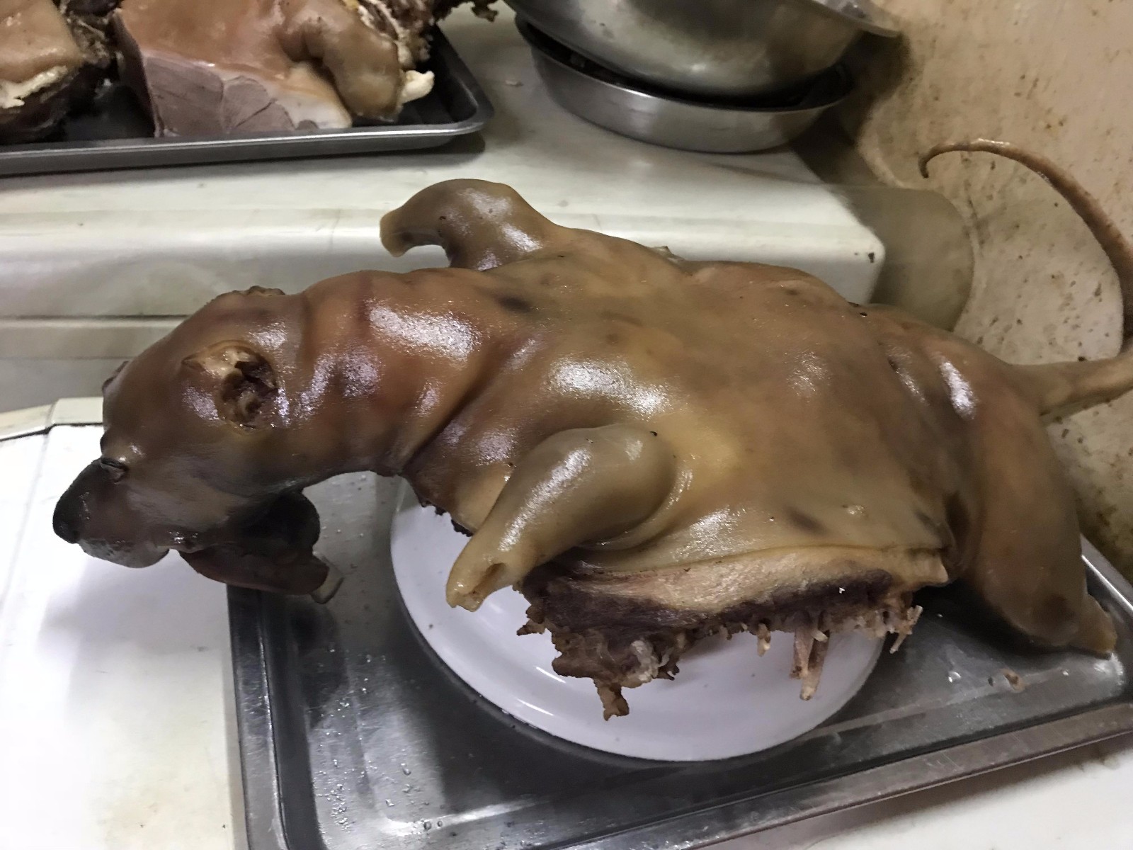 实拍街头狗肉店 小狗全身被卤熟_新浪看点