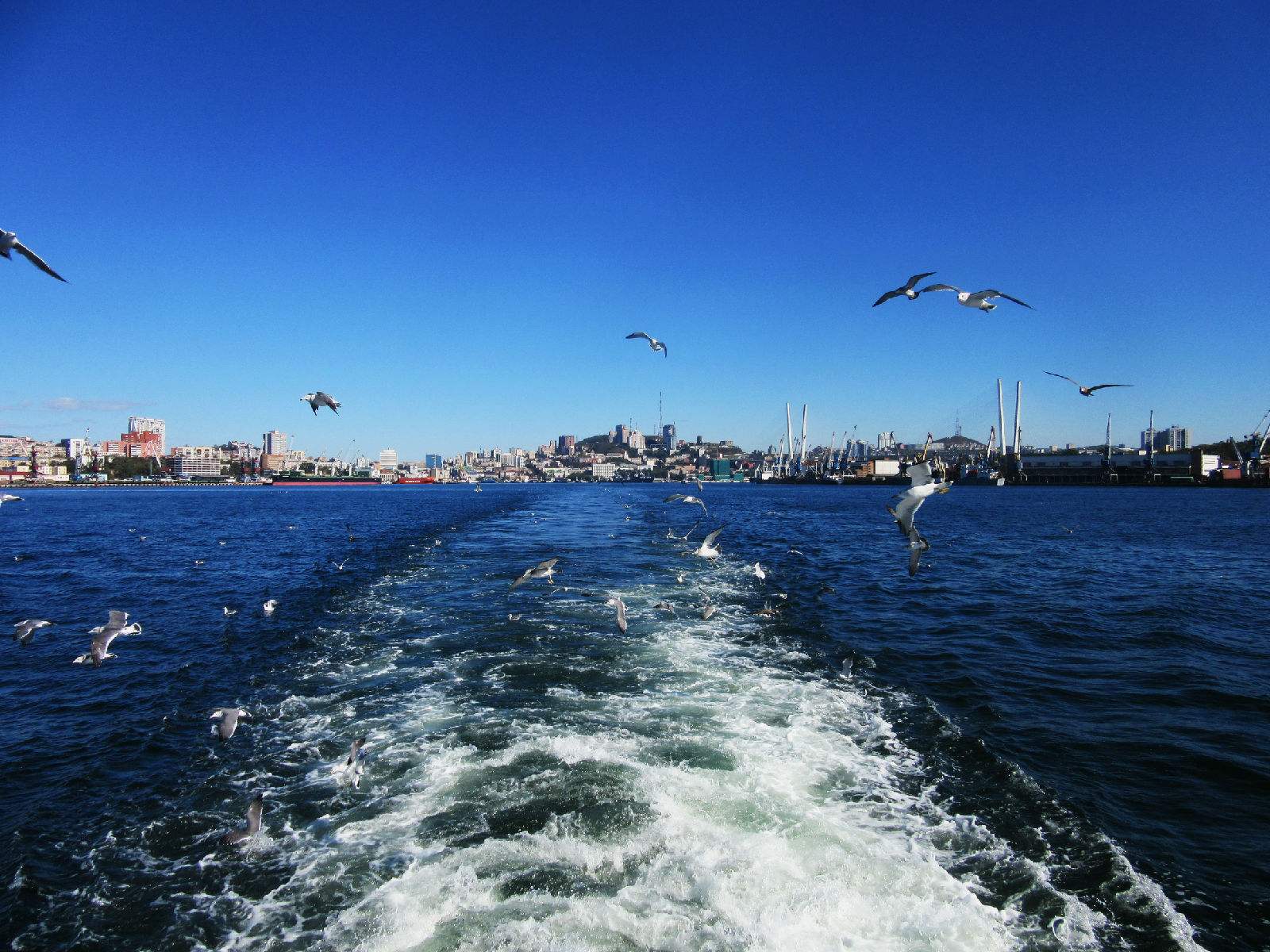 海参崴的金角湾如一个楔子切入阿穆尔半岛