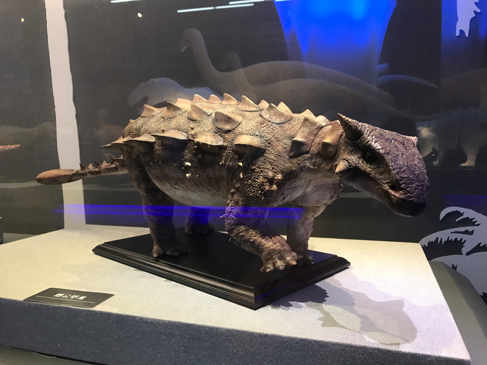 图注:缙云甲龙复原模型,制作:张宗达,摄影:江泓缙云