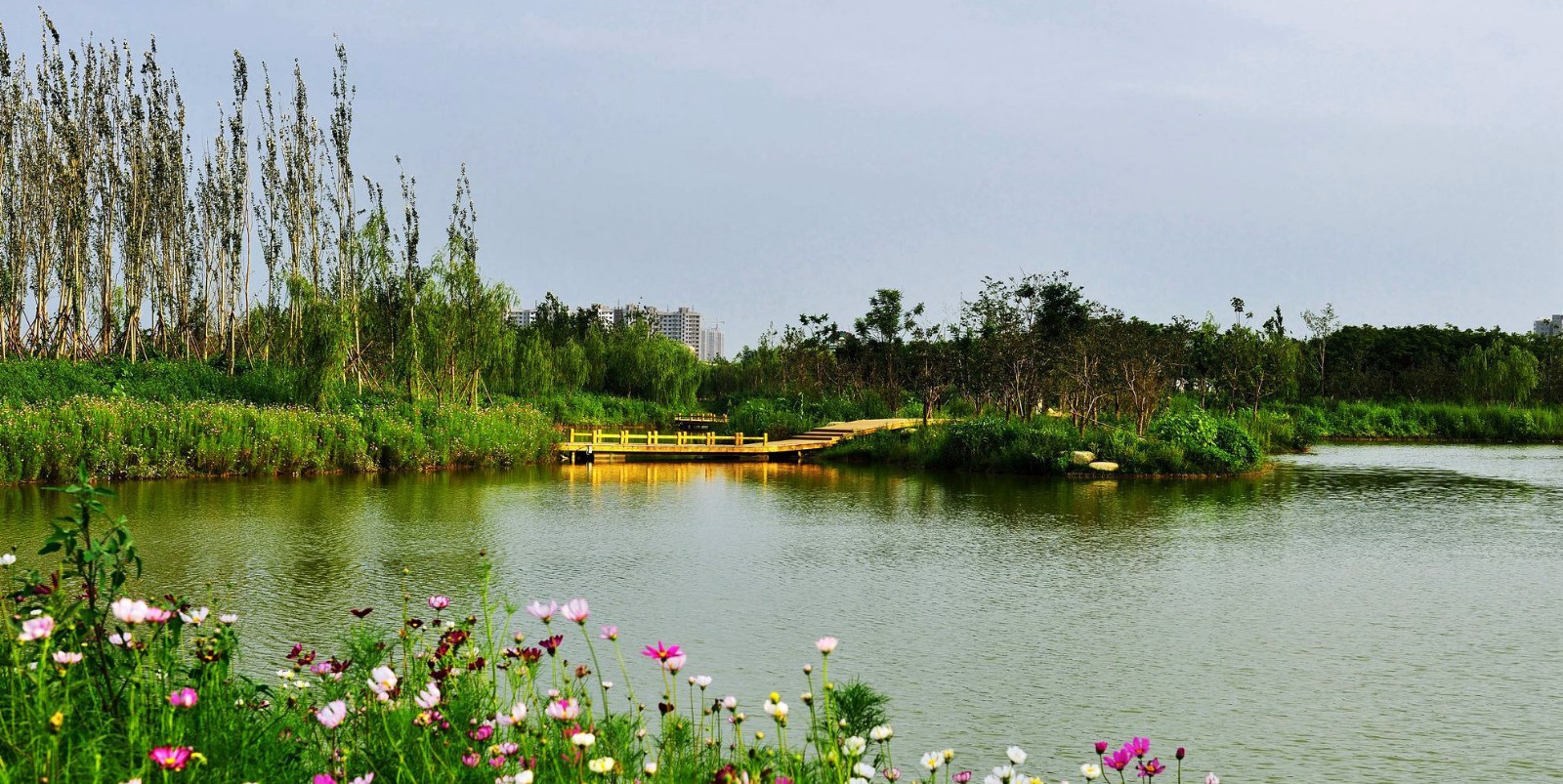 浐灞国家湿地公园自然风光
