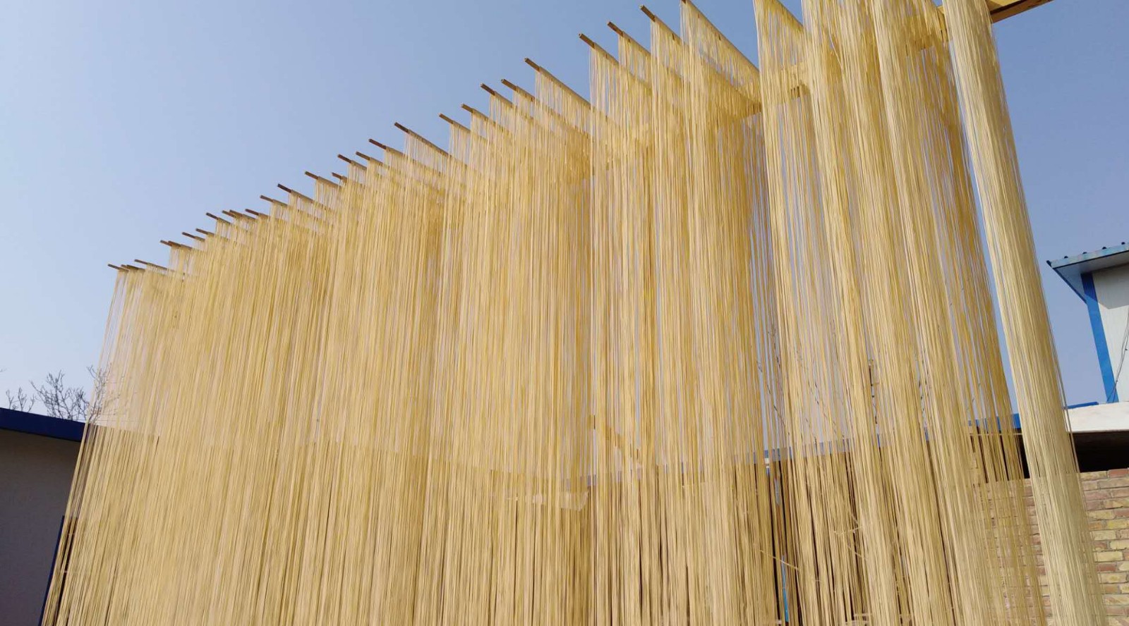 天水黄家庄家家挂挂面,成为腊月农村一道美丽风景