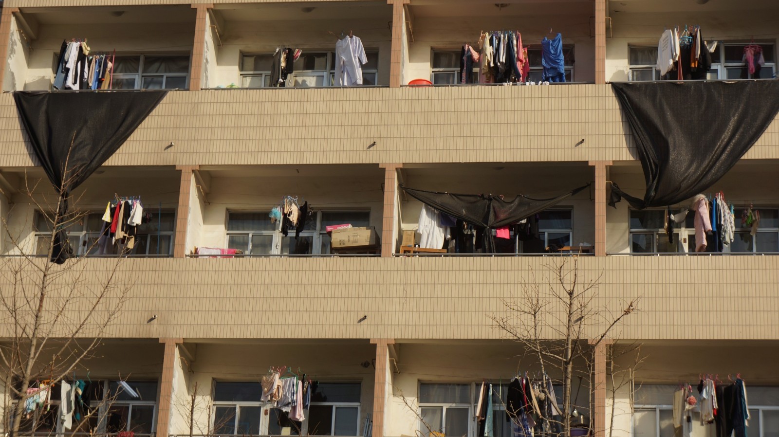 女生宿舍紧邻行车道晴天晒衣如橱窗 衣服时常飘到大街上