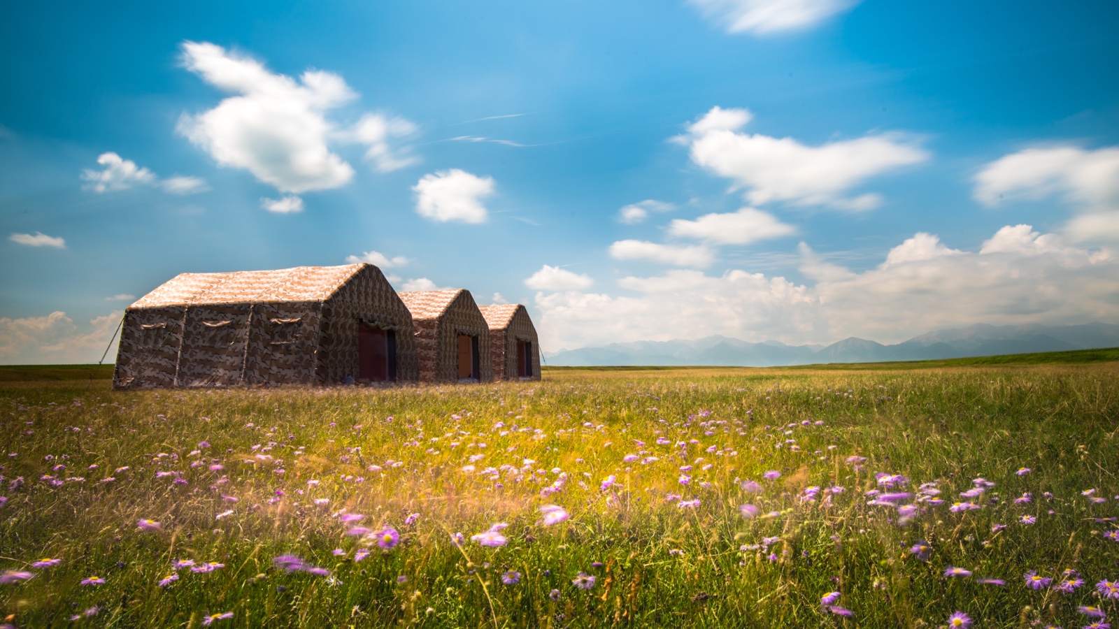 2017,我的摄影足迹!