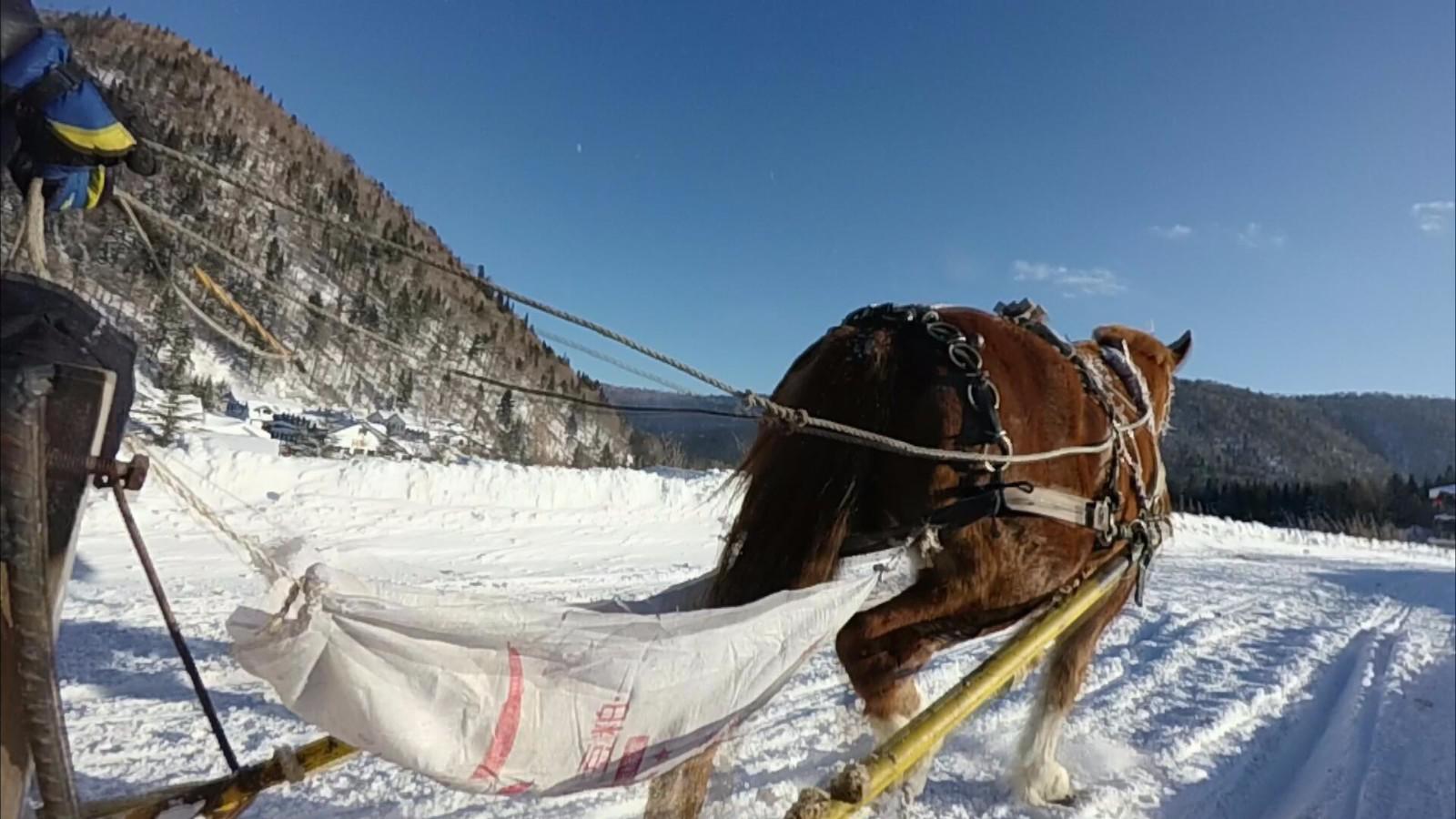 实拍世界独一无二的雪蘑菇奇观,就在中.