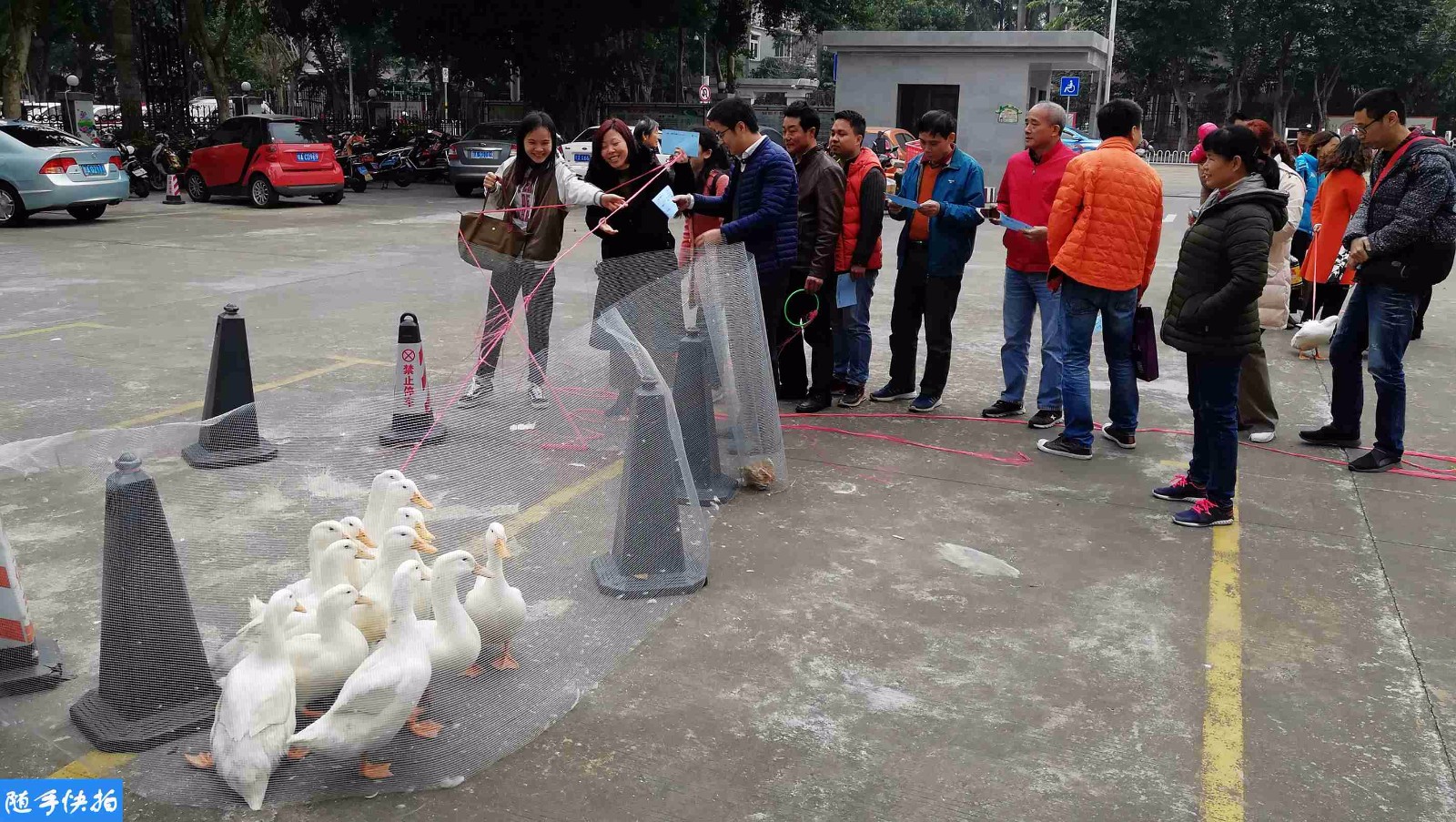 最奇葩的员工"年会" 他们玩套圈 套着鸭子就归你
