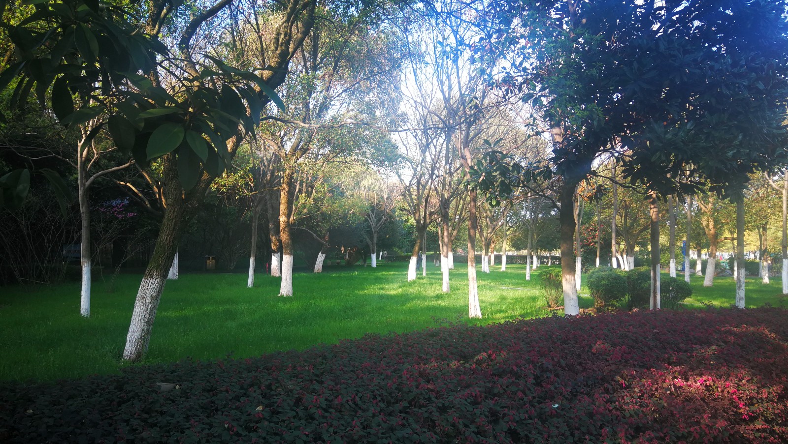 美丽吉安之滨江公园: 花红柳绿 鸟语花香 处处皆景