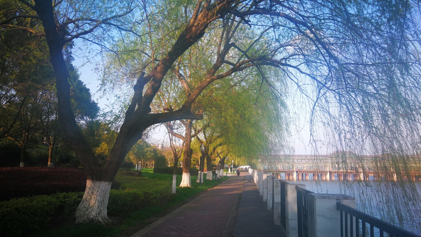 美丽吉安之滨江公园: 花红柳绿 鸟语花香 处处皆景