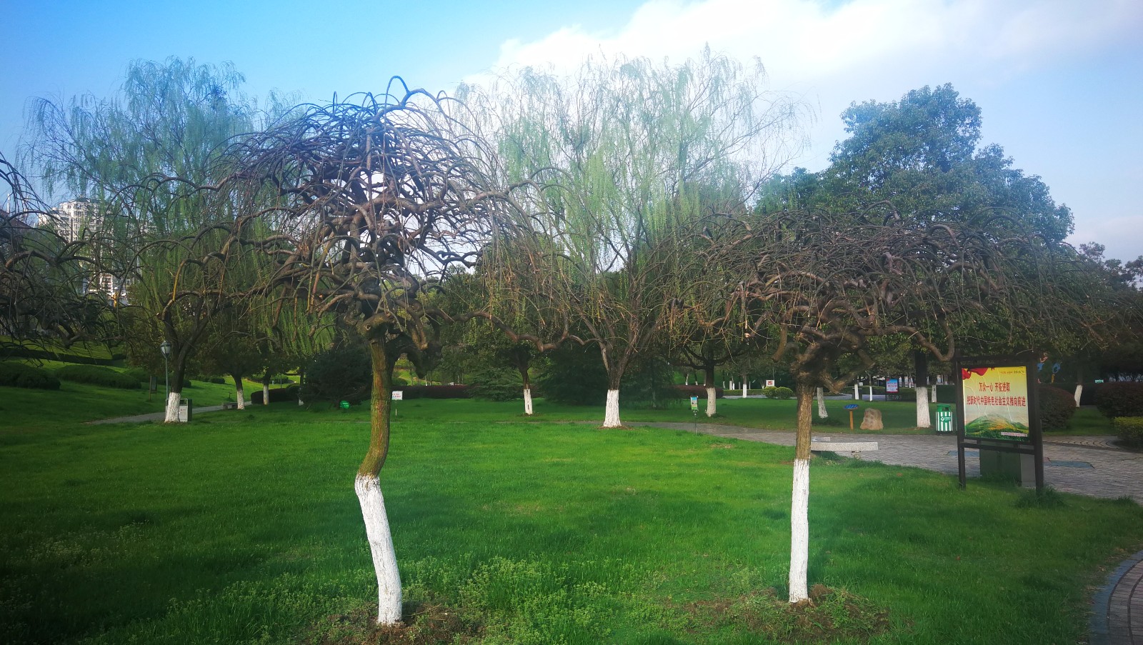 美丽吉安之滨江公园: 花红柳绿 鸟语花香 处处皆景