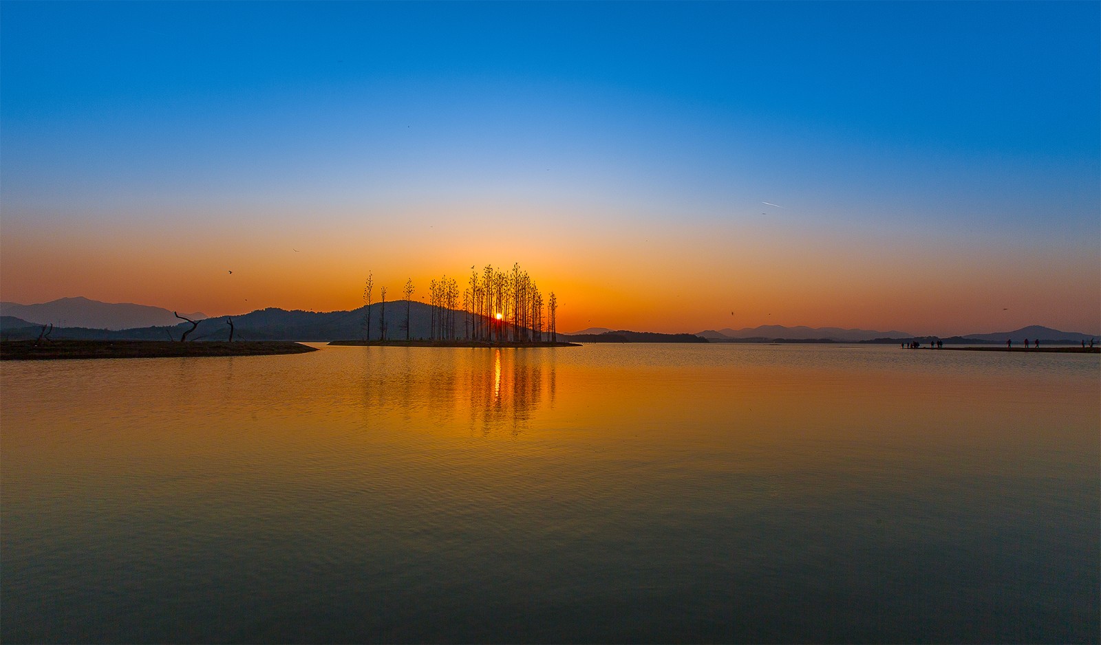 宜兴太华镇,云湖的落日美到窒息|宜兴|太华镇|云湖_新浪新闻