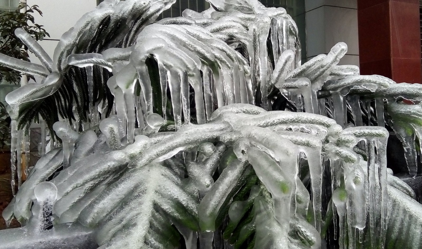 7张图让你领教下凯里山区10年难遇凝冻的美