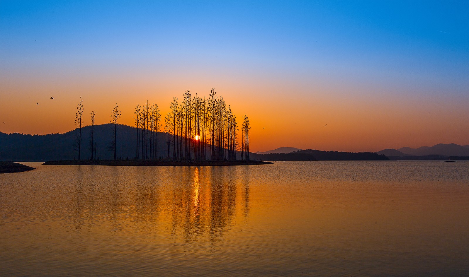 宜兴太华镇,云湖的落日美到窒息