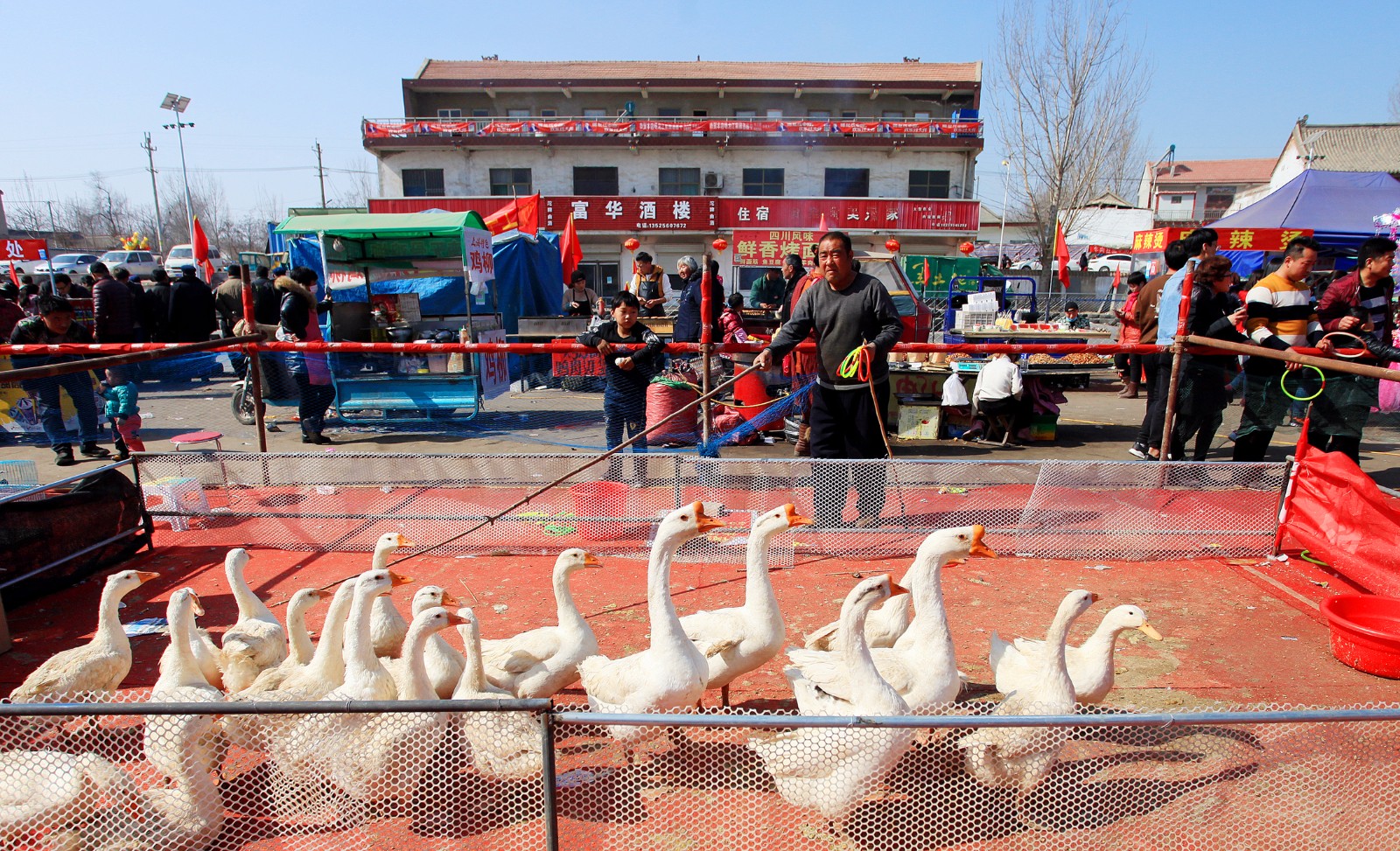 集市套鹅游戏无人敢玩 路过大叔说出原因_新浪看点
