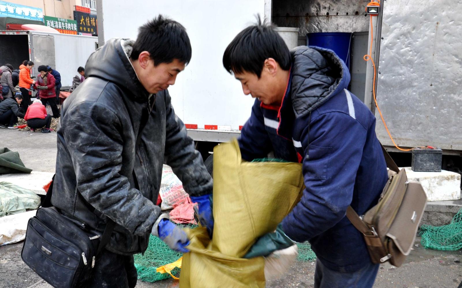 图为:早市上,两位贩卖海蛎子摊主,将顾客挑拣好的海鲜,倒入大麻袋里.