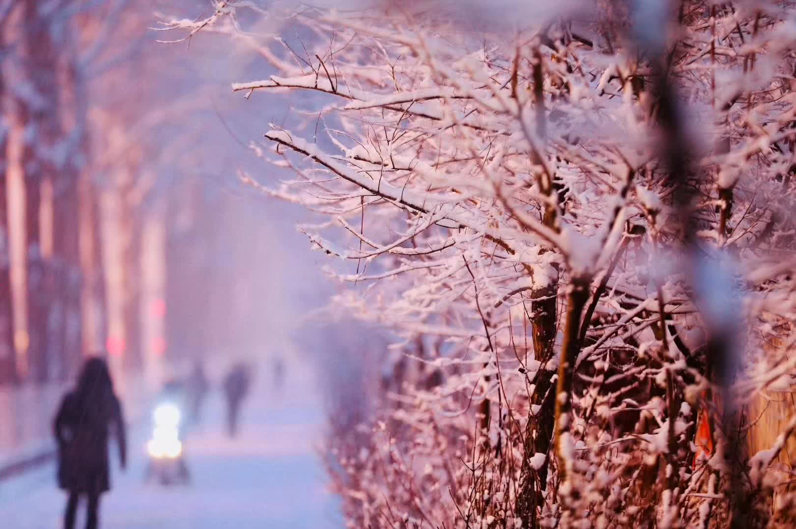 暴雪12小時後,為長春的美景點贊!向一夜無眠的他們致敬!