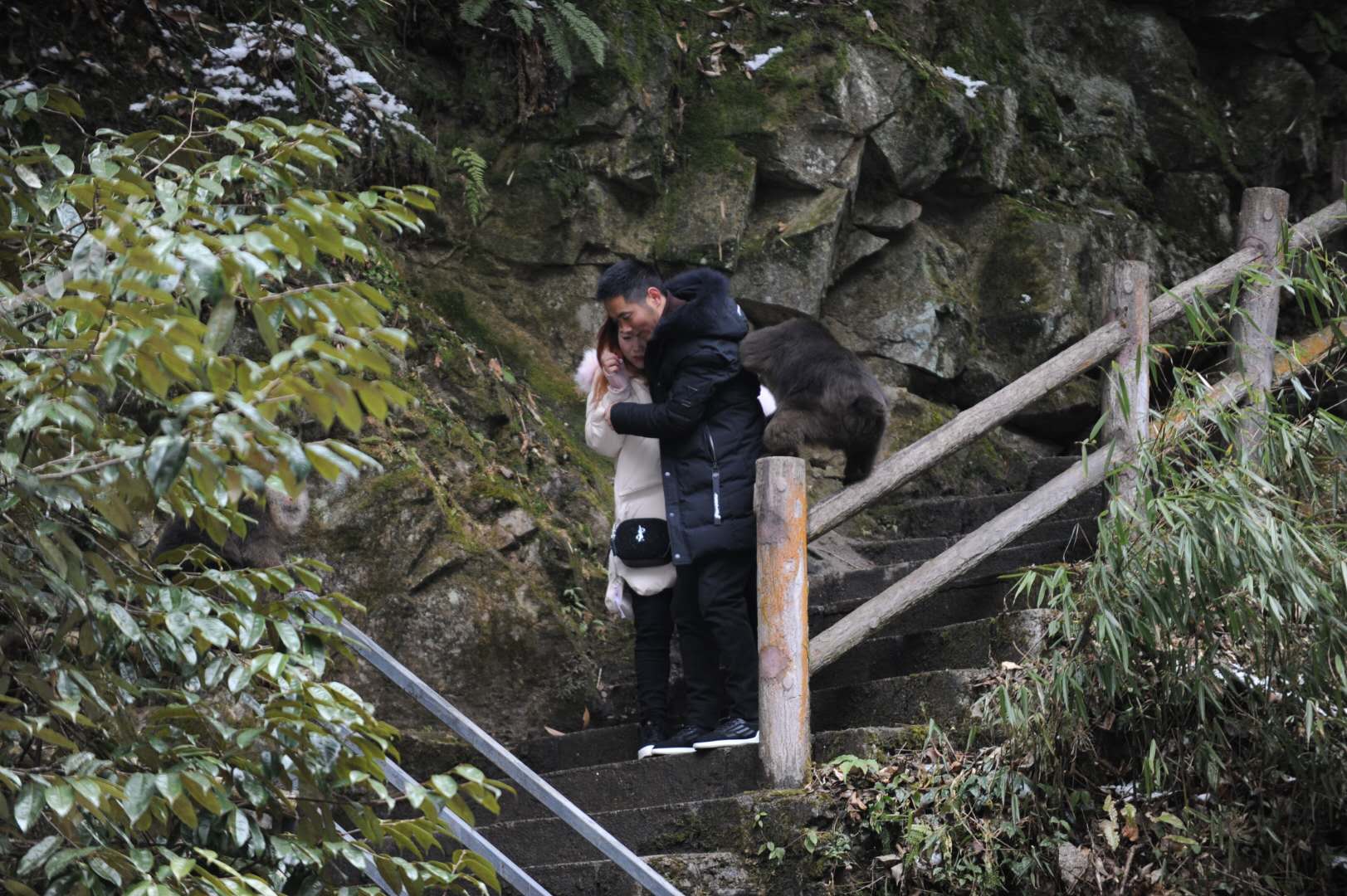 峨眉山猴子打劫女游客图片