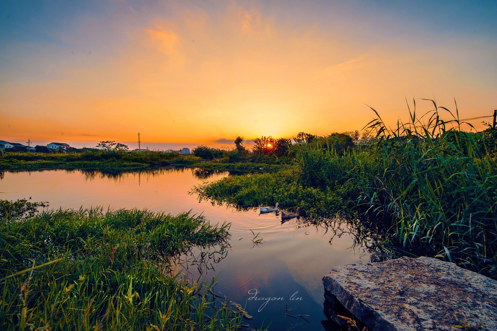 草满池塘水满陂,山衔落日浸寒漪.