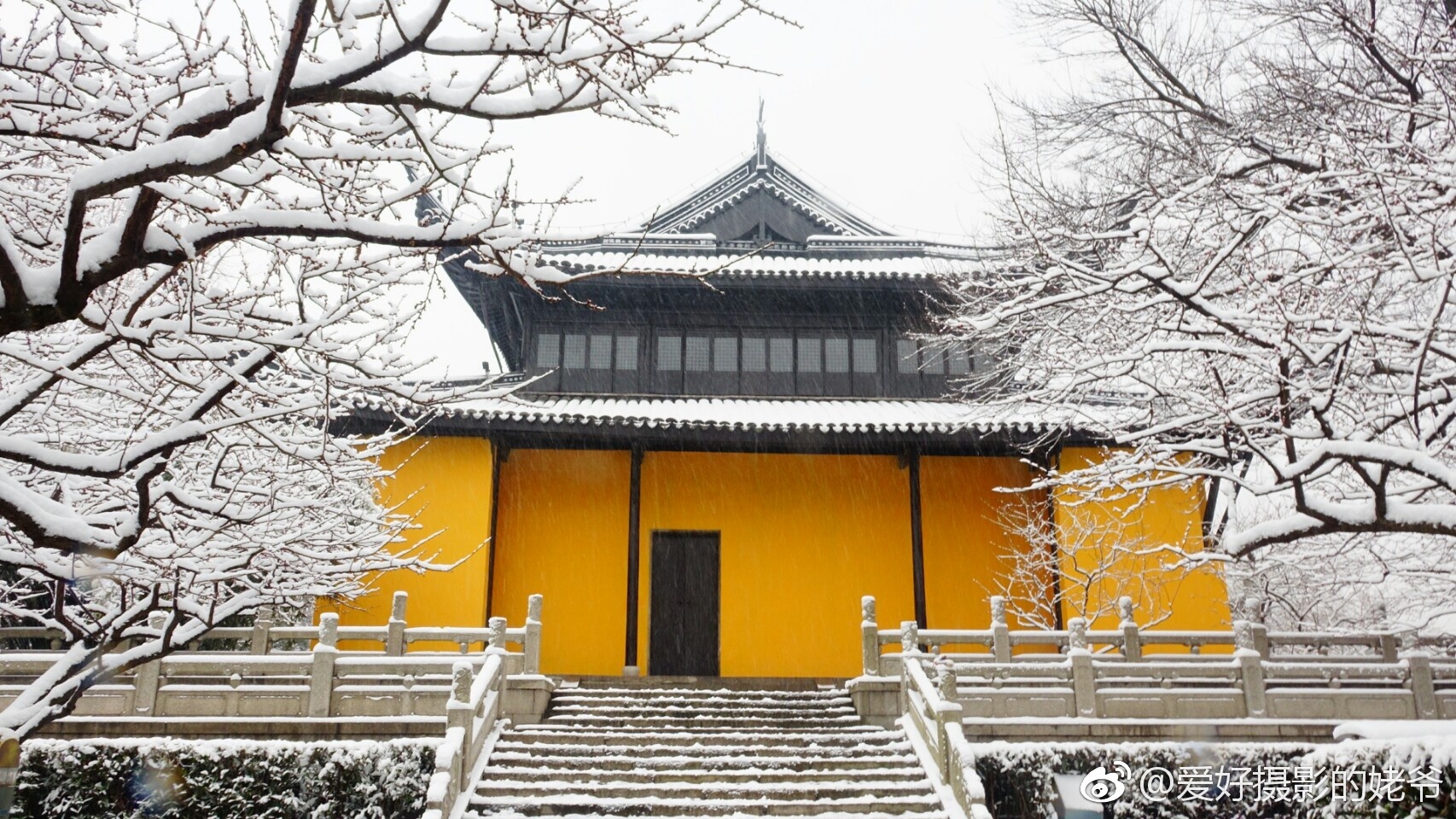 红梅阁.最吸引人的拍摄地,周边千株梅林环抱.四季变幻莫测_新浪看点