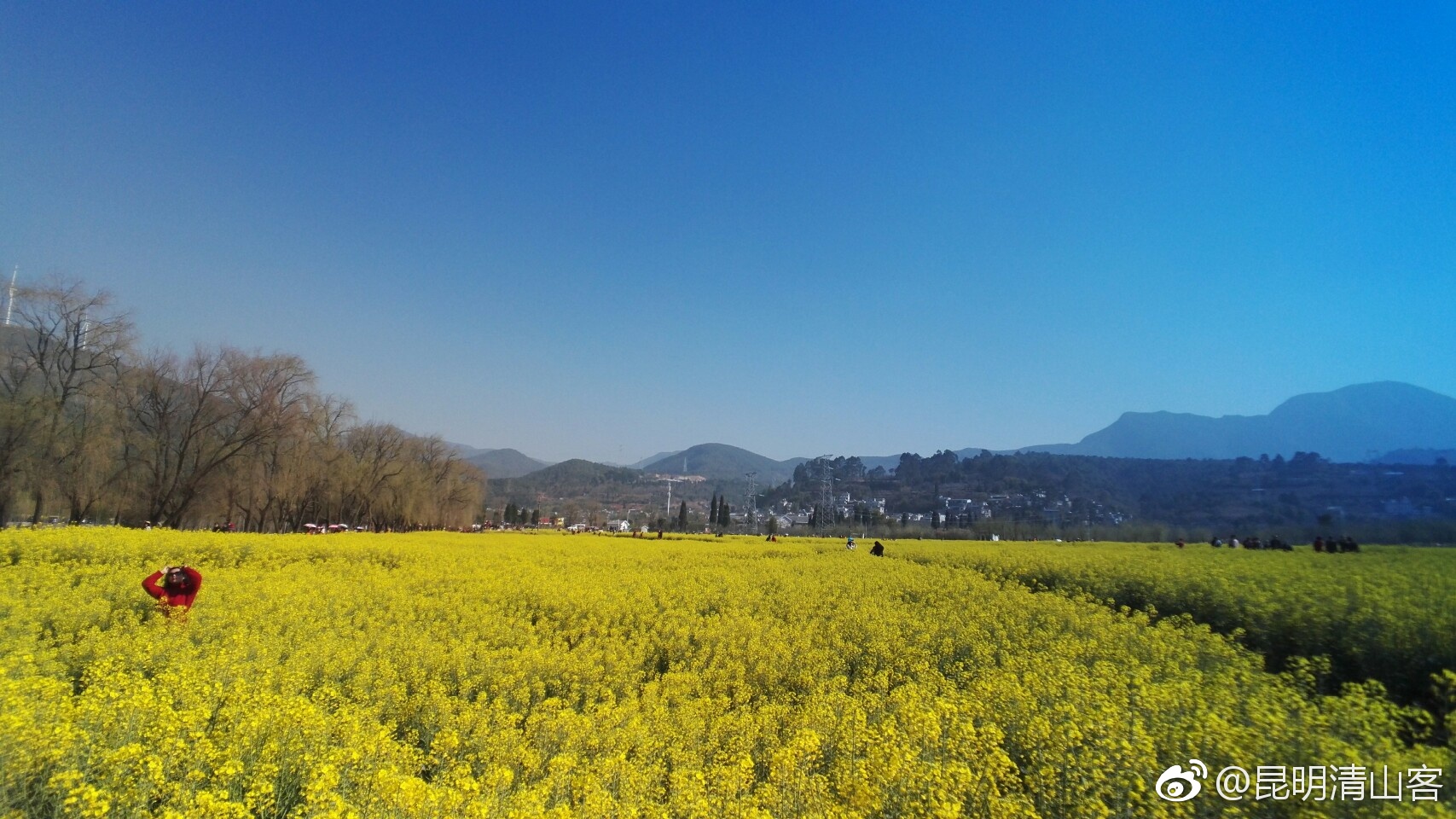 昆明安宁温泉的金色螳螂川