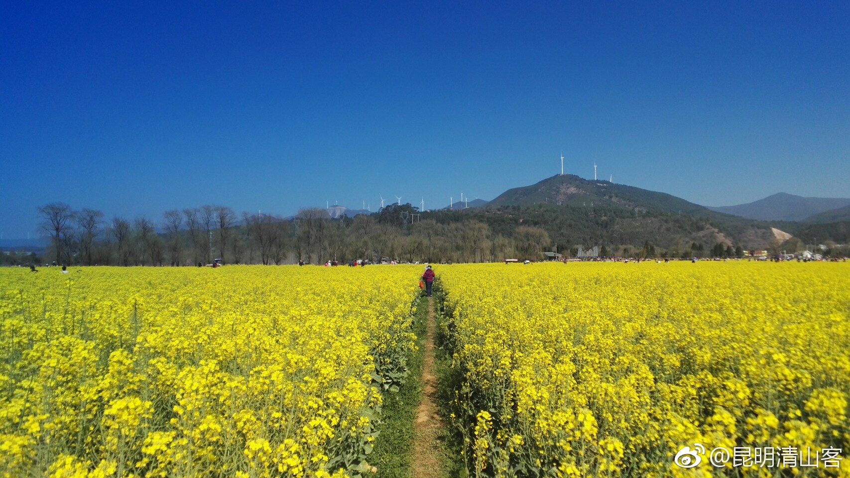 昆明安宁温泉的金色螳螂川