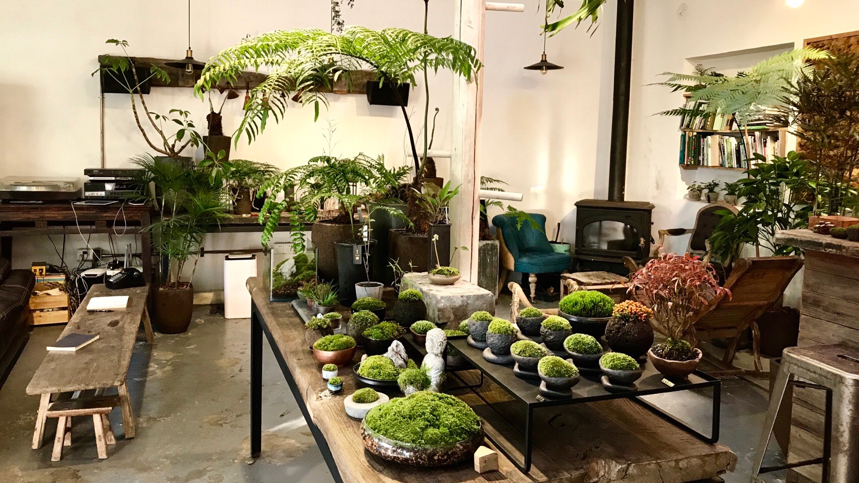 今日植觉_新浪看点