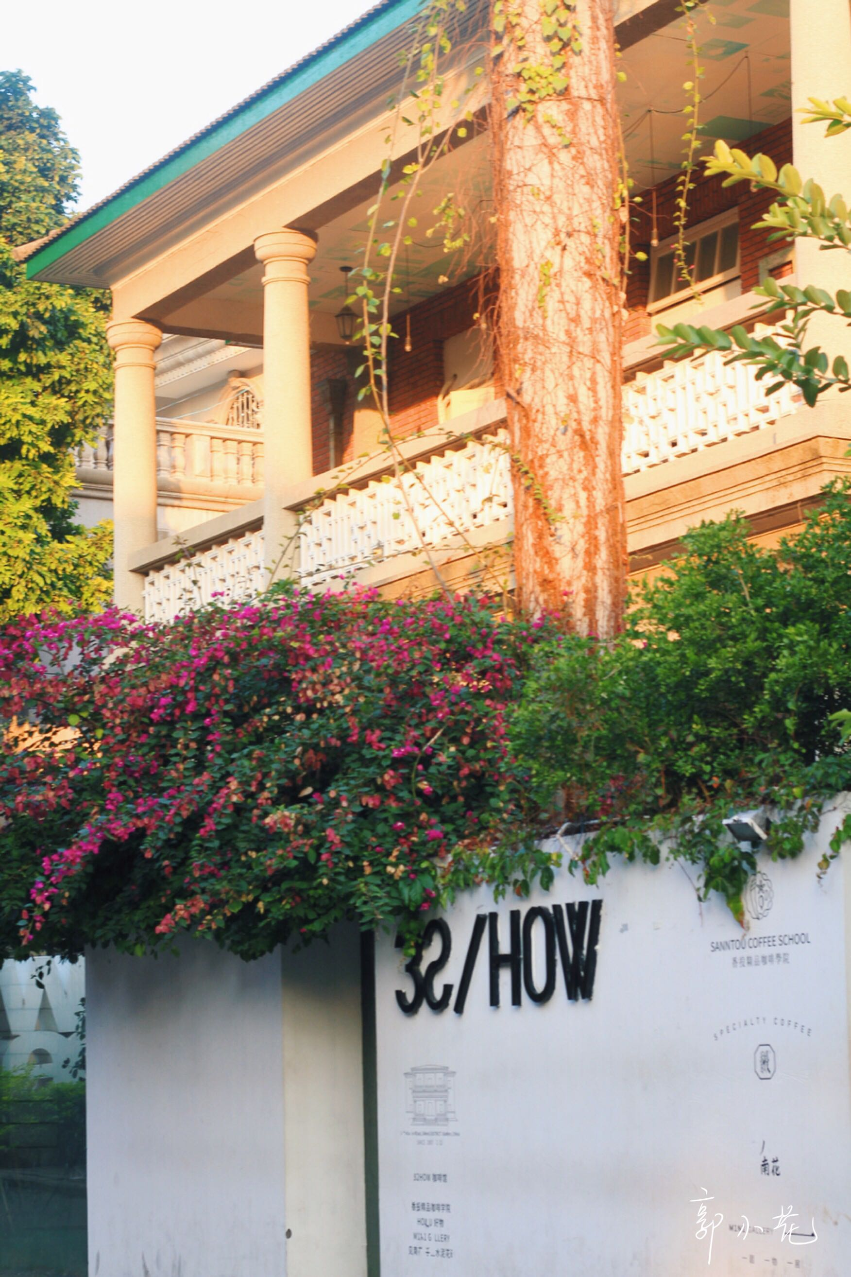 厦门最后的文艺之地,华新路老别墅区.