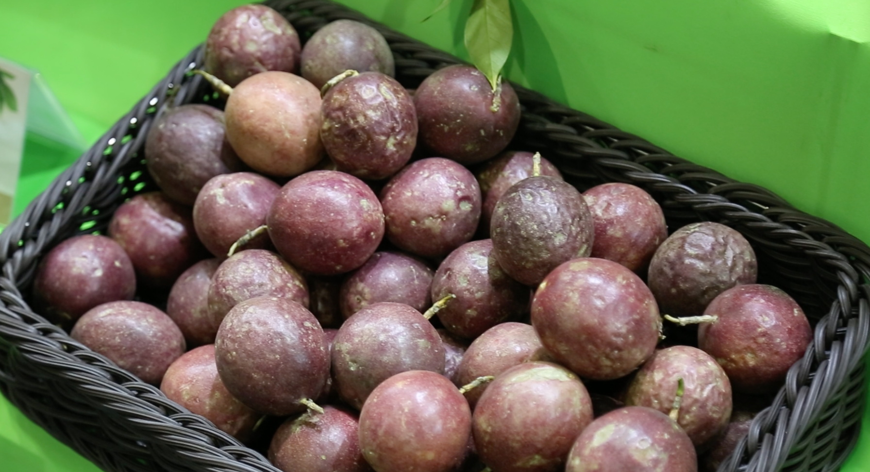 第九届广西贺州名特优农产品广州交易会广州开幕