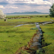 王者荣耀夏侯惇出装