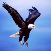 工程中标后材料涨价已经覆盖利润怎么办?